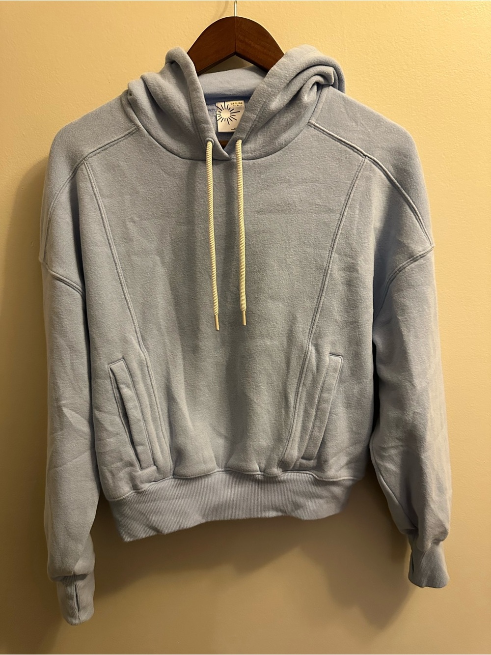 aerie Pale Blue Pullover Hoodie with Drawcords